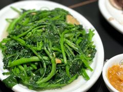 -吴记富苑(朝阳店)