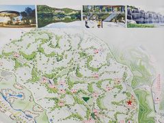 -神光山国家森林公园