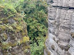 -梭布垭石林景区