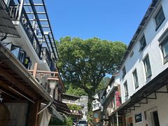 -杭州西湖风景名胜区-满觉陇四眼井