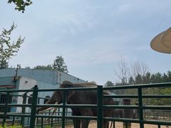 -秦皇岛野生动物园