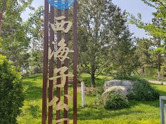 -西海子公园