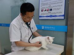 -菲尔斯特宠物医院