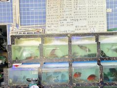 -众味海鲜大排档·活海鲜·潮汕味(南澳店)