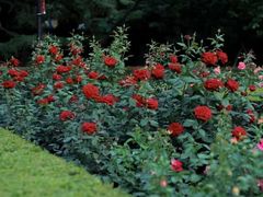 -自由港KTV(王子公主金平店)