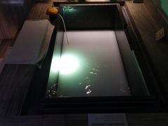 -春晖园度假酒店温泉