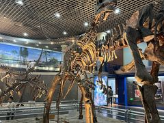 -国家自然博物馆