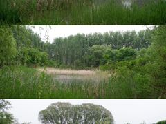 -翠湖国家城市湿地公园
