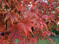 -蜀冈西峰生态公园