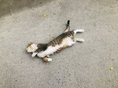 -新合益乡村农庄