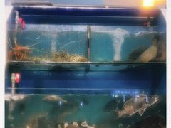 -原龙海鲜大排档(美食地标店)