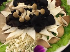 -蝎王府羊蝎子(北大地店)