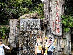 -广州市流溪河国家森林公园