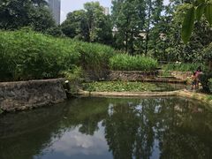 -成都市活水公园