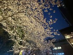-玛格萝妮比萨屋(四平店)