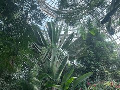 -郑州植物园
