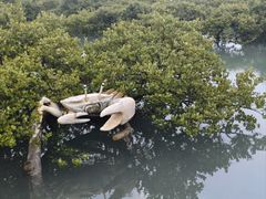 -北海金海湾红树林生态旅游区