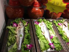 -龙泉小镇(科圣路店)