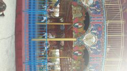 android_upload_pic-福州儿童公园