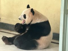 -南山竹海·珍味堂