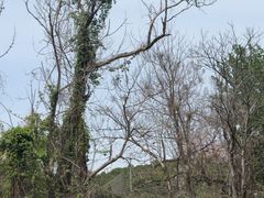 -燕塞湖鸟语林景区
