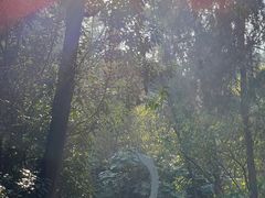 -云龙山
