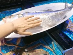 -忆江南·临江鱼馆