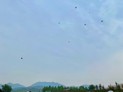 -君乐宝优致牧场