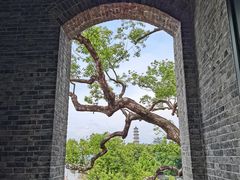 -江心屿景区