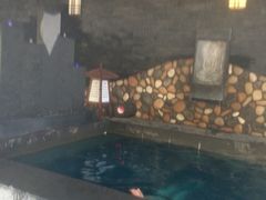 -南京汤山紫清湖生态旅游温泉度假区