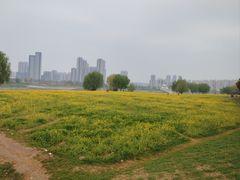 -汉江湾体育公园