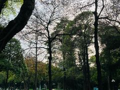-东山湖公园