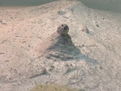 -宁波冰雪大世界(北仑区)