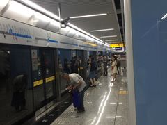 -大龙山(地铁站)