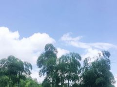 -山沟沟景区