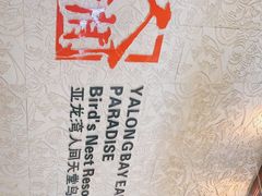 -三亚亚龙湾人间天堂鸟巢度假村