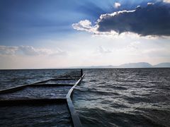 -呈贡滇池生态湿地公园