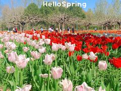 -北京国际鲜花港