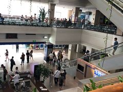 -上海市东方医院(总院)