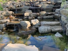 -小绿谷公园