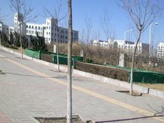 -南开大学滨海学院