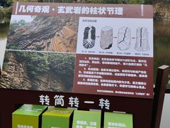 -王借岗森林公园