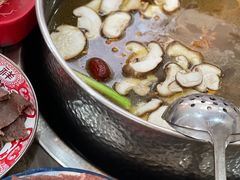 -乳仔牛牦牛汤锅 烤羊排(松潘古城店)