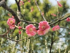 -静安雕塑公园