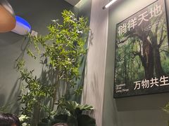 -芸山季·云南山珍菌火锅(南翔印象城MEGA店)