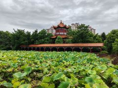 -五龙客家风情园