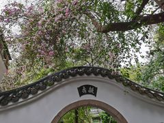 -深圳国际园林花卉博览园