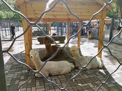 -长白岛森林公园