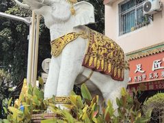 -西双版纳傣族园