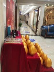 -碧莲盛·不剃发植发